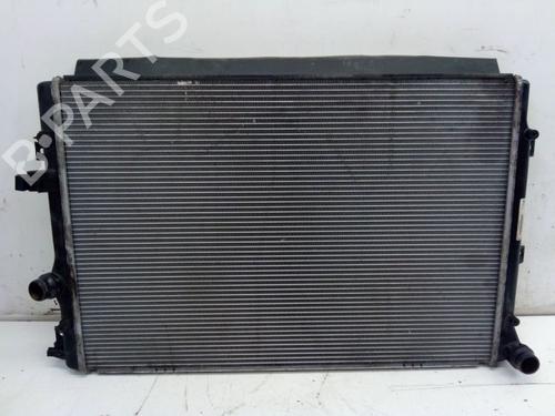 Køler VW TIGUAN (5N_) 2.0 TDI 4motion (140 hp) 24827347
