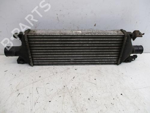 Used Intercooler FIAT SEDICI (189_) 2.0 D Multijet 4x4 (135 hp) 29086735