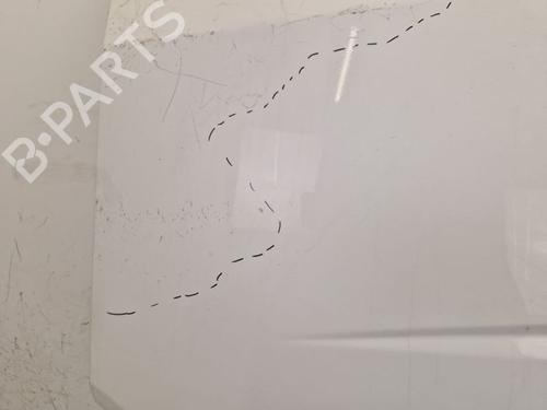 Left front door VW CRAFTER 30-50 Van (2E_) 2.0 TDI | BP29106926C2 