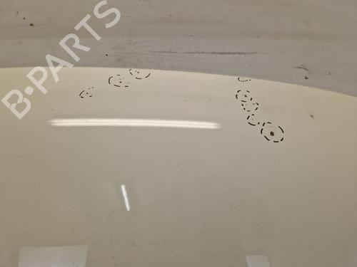 Hood VW TIGUAN (5N_) 2.0 TDI 4motion | BP29105054C1 