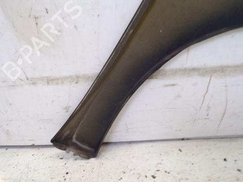 Left front fenders PEUGEOT 207 (WA_, WC_) 1.6 16V VTi | BP19298497C41 