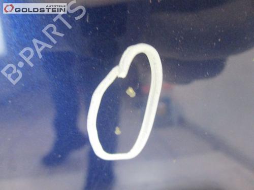 Hood RENAULT CLIO III (BR0/1, CR0/1) 1.2 16V (BR02, BR0J, BR11, CR02, CR0J, CR11) | BP18755911C1 