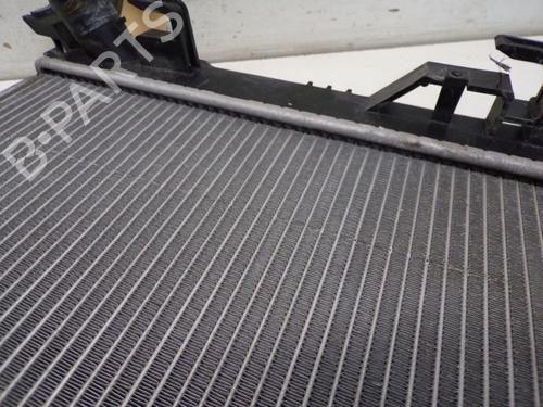 Water radiator DACIA SANDERO II TCe 90 (B8M1, B8MA, B8AC) | BP29100340M31