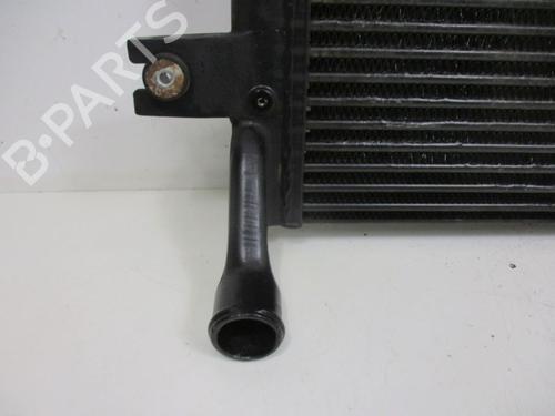 Intercooler JEEP GRAND CHEROKEE II (WJ, WG) 2.7 CRD 4x4 | BP18793734M30 