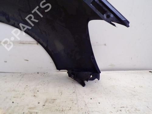 Left front fenders RENAULT CLIO III (BR0/1, CR0/1) 1.2 16V (BR02, BR0J, BR11, CR02, CR0J, CR11) | BP18798903C41 