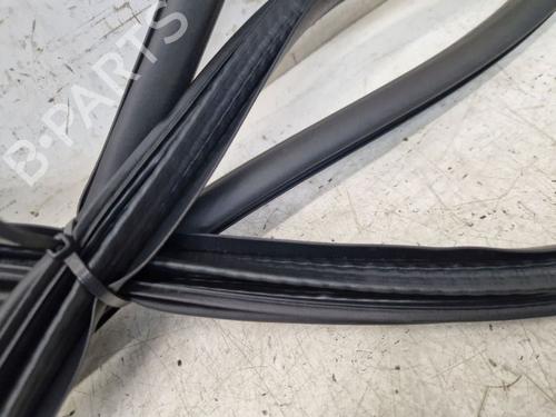 Rubber door seal RENAULT MEGANE E-TECH SUV EV60 (BNJ1) | BP29100785C142 