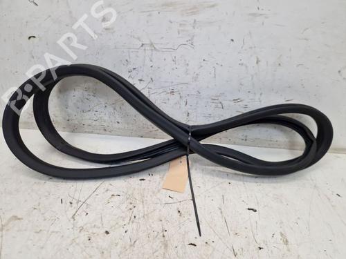 Used Rubber door seal RENAULT ZOE (BFM_) ZOE (BFMD) (109 hp) 29105868