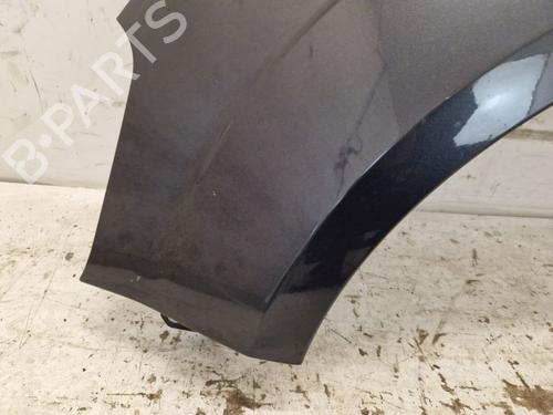 Left front fenders FORD S-MAX (WA6) 2.0 TDCi | BP30794874C41 