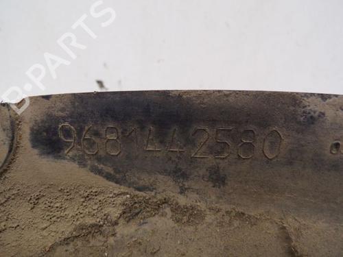 Wheel arch PEUGEOT 308 SW I (4E_, 4H_) 1.6 HDi | BP29084671C56 