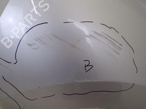 Right front fenders RENAULT MEGANE III Hatchback (BZ0/1_, B3_) 1.6 16V (BZ1B, BZ1H) | BP29085729C42 