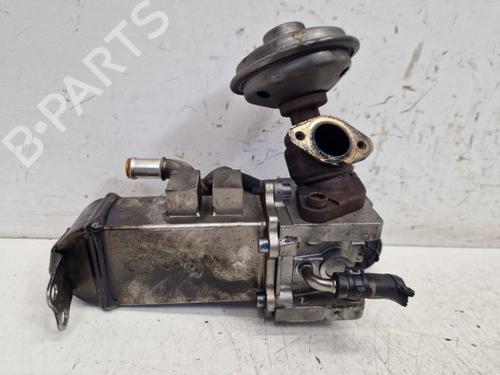 Egr AUDI A4 B7 Avant (8ED) 2.7 TDI | BP29100801M69 