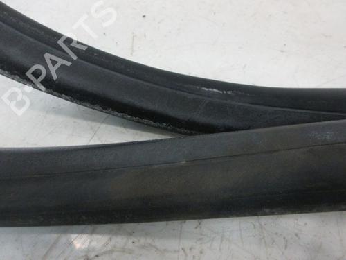 Rubber door seal RENAULT GRAND SCÉNIC III (JZ0/1_) 1.4 16V (JZ0F) | BP29094728C142 