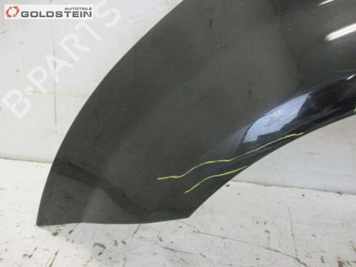 Guarda-lamas esquerdo CITROËN C2 (JM_) 1.4 HDi | BP18762882C41