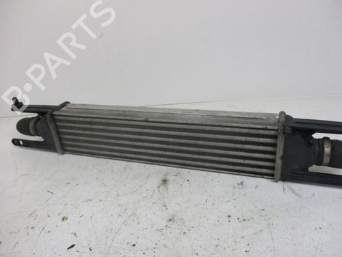 Intercooler FIAT GRANDE PUNTO (199_) 1.3 D Multijet | BP37116606M30 - Image 8