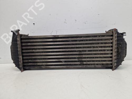 Intercooler RENAULT KANGOO Express (FW0/1_) 1.5 dCi 85 (FW0K, FW0L, FW0B) | BP32661500M30 