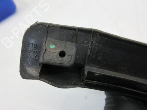 Gummiliste RENAULT ZOE (BFM_) ZOE | BP29099250C142 