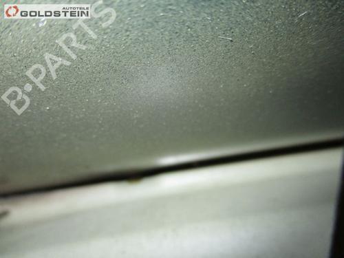 Tailgate OPEL MERIVA B MPV (S10) 1.3 CDTI (75) | BP18763735C6 