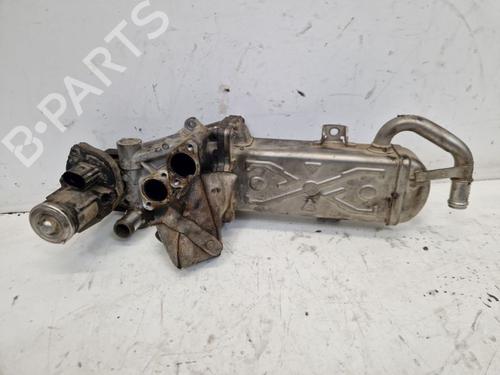 Used Water radiator VW TIGUAN (5N_) 2.0 TDI 4motion (140 hp) 31702425