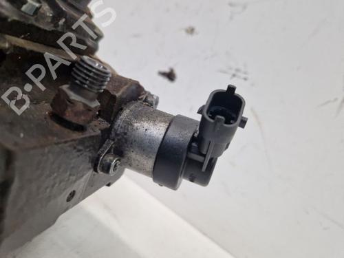 Injection pump RENAULT SCÉNIC III (JZ0/1_) 2.0 dCi (JZ0Y, JZ26) | BP32087531M78