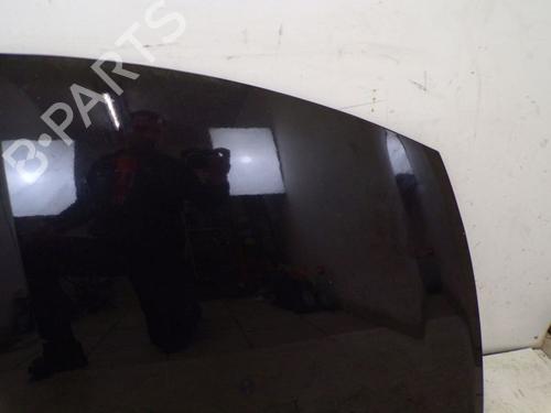 Hood RENAULT CLIO III (BR0/1, CR0/1) 1.2 16V (BR02, BR0J, BR11, CR02, CR0J, CR11) | BP29085813C1 