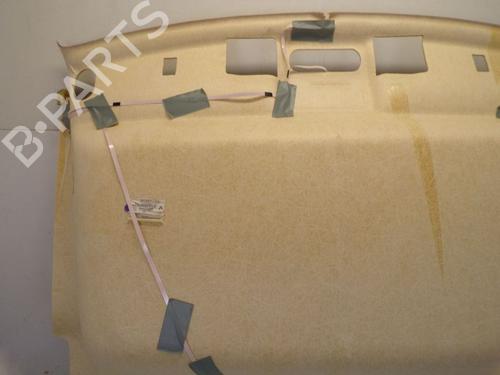 Interior roof RENAULT KANGOO / GRAND KANGOO II (KW0/1_) 1.5 dCi 90 (KW05, KW08, KW0G, KW11) | BP29091913I12 