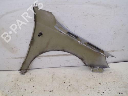 Left front fenders SKODA FABIA II Combi (545) 1.2 TSI | BP19294290C41 