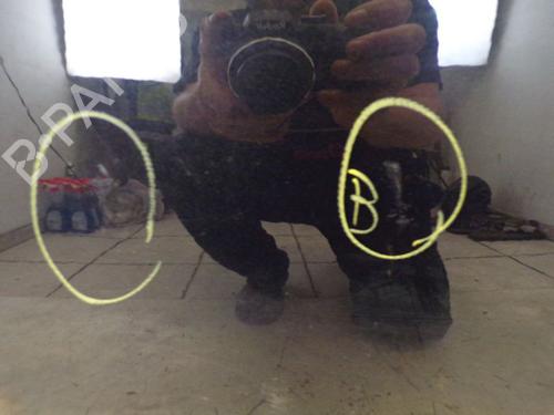 Left rear door FIAT SEDICI (189_) 2.0 D Multijet 4x4 | BP29086618C4 