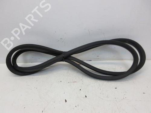 Used Rubber door seal RENAULT ZOE (BFM_) ZOE (88 hp) 29098641