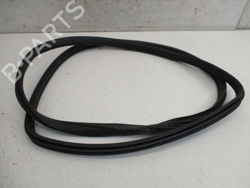 rubber-door-seal-bmw-x5-e70-2006-2007-2008-2009-2010-2011-2012-2013-37124767 main image