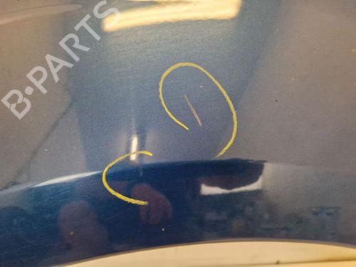 Left front fenders FORD GALAXY II (WA6) 2.0 TDCi | BP29106125C41