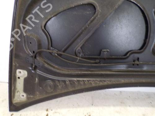 Hood RENAULT CLIO III (BR0/1, CR0/1) 1.2 16V (BR02, BR0J, BR11, CR02, CR0J, CR11) | BP29095382C1 