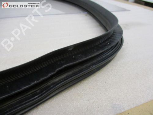 Rubber door seal FORD KUGA II (DM2) 2.0 TDCi 4x4 | BP18757241C142 