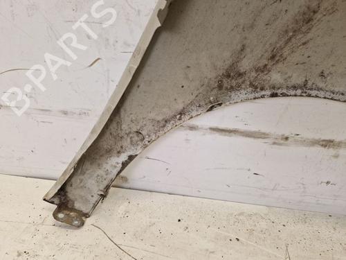 Left front fenders SKODA FABIA II Combi (545) 1.2 | BP29101680C41 