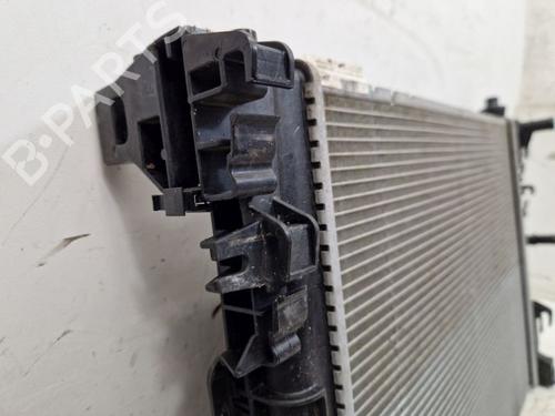 Water radiator RENAULT ZOE (BFM_) ZOE (BFMD) | BP29105963M31 