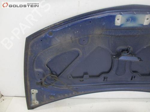 Hood RENAULT CLIO III (BR0/1, CR0/1) 1.2 16V (BR02, BR0J, BR11, CR02, CR0J, CR11) | BP18755911C1 