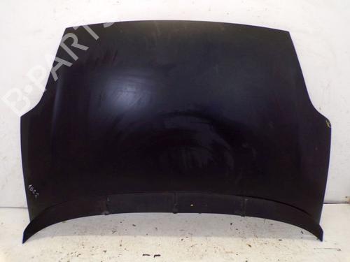Used Hood FIAT GRANDE PUNTO (199_) 1.2 (65 hp) 29090468