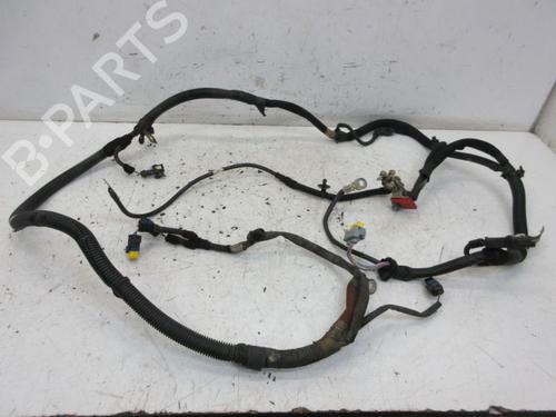 Ledningsnet PEUGEOT 207 SW (WK_) 1.6 16V (120 hp) 29089911