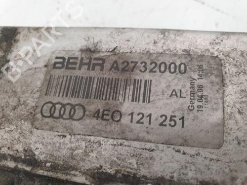Water radiator AUDI A8 D3 (4E2, 4E8) 4.2 TDI quattro | BP34738443M31  - Image 9