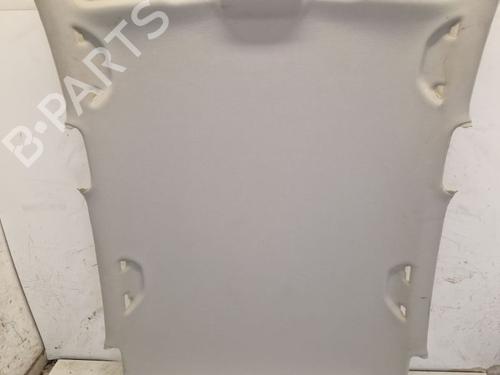 Interior roof VW POLO V (6R1, 6C1) 1.2 | BP29108032I12 