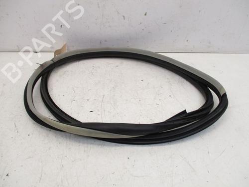 Rubber door seal RENAULT LAGUNA III Grandtour (KT0/1) 2.0 dCi (KT01, KT08, KT09, KT0K, KT12, KT1D, KT1W) | BP18807639C142 