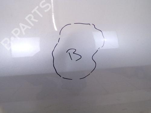 Right front door PEUGEOT 1007 (KM_) 1.4 | BP29089068C3 