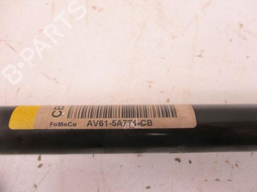 Anti roll bar FORD FOCUS III 1.6 Flexifuel | BP30667637M96 