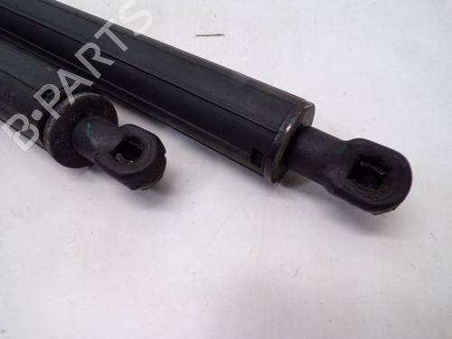 Tailgate lift support MERCEDES-BENZ M-CLASS (W164) ML 350 4-matic (164.186) | BP29085101C138 