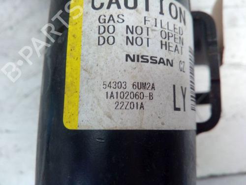 Left front shock absorber NISSAN QASHQAI III (J12) 1.5 VC-T e-Power | BP28321095M16 