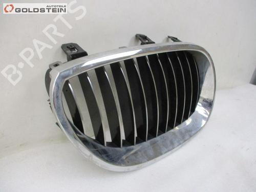 Grille BMW 5 Touring (E61) 530 d | BP18756375C40 