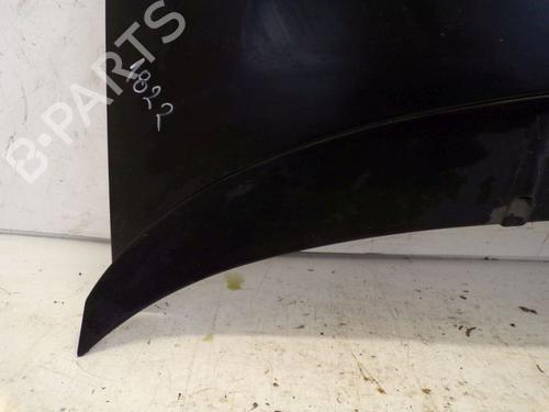 Hood FIAT GRANDE PUNTO (199_) 1.2 | BP29090468C1 