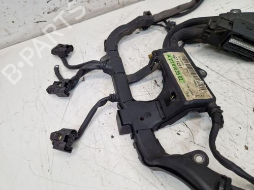 Wiring harness MERCEDES-BENZ E-CLASS (W211) E 350 (211.056) | BP26127816E16 