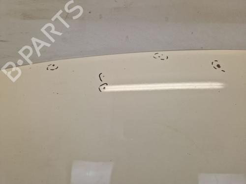 Hood VW TIGUAN (5N_) 2.0 TDI 4motion | BP29105054C1 