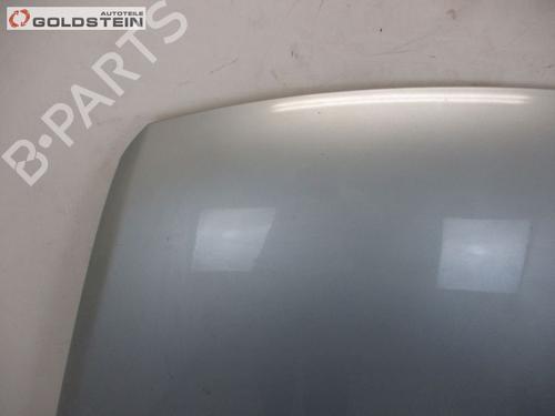 Hood VW TOUAREG (7LA, 7L6, 7L7) 2.5 R5 TDI | BP18762583C1 