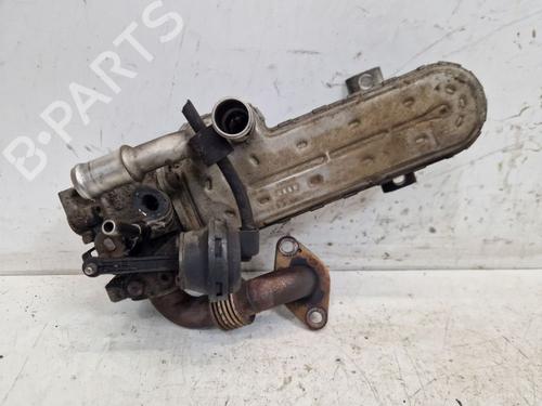 Used Egr VW GOLF PLUS V (5M1, 521) 2.0 TDI 16V (140 hp) 24868754